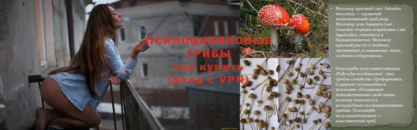a pvp Алексин