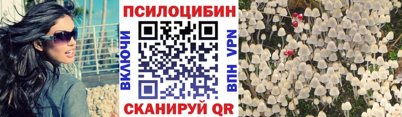 blacksprut ТОР  Каневская  Галлюциногенные грибы Magic Shrooms  наркошоп 