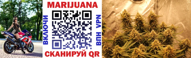 дарнет шоп  Каневская  omg как войти  Конопля OG Kush 